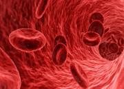 Sanità, la proteina del sangue che predice il rischio di cancro e infarto