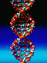 dna