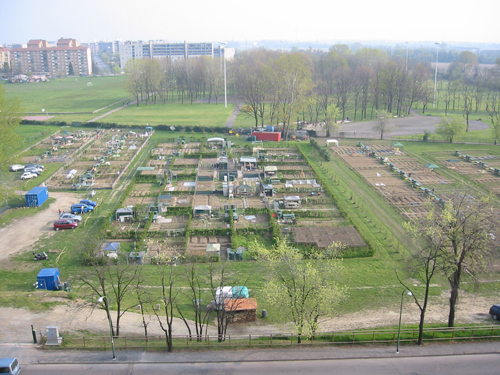orti urbani (3) orti urbani (3)