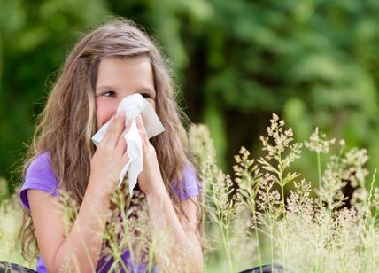 Allergie: in arrivo nuovo test per svelarle da una goccia di sangue