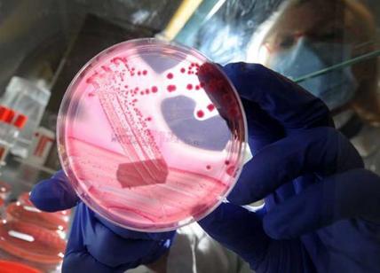 Batteri: ecco il batterio potenzialmente mortale sulla pelle di tutti