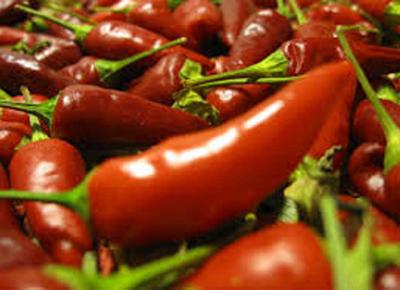 peperoncino