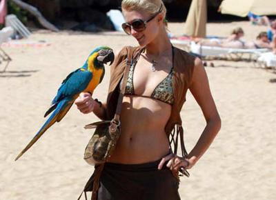 vip mare spiaggia 500 3
