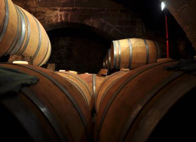 botti primitivo manduria botti primitivo manduria