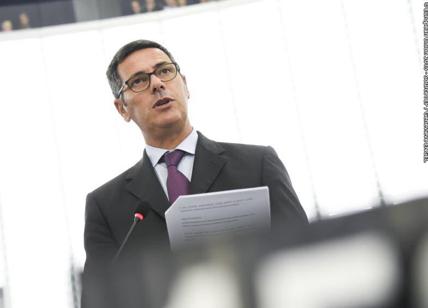 Ogm, La Via: "Le importazioni di mais e cotone assolutamente sicure" Ogm, La Via: "Le importazioni di mais e cotone assolutamente sicure"