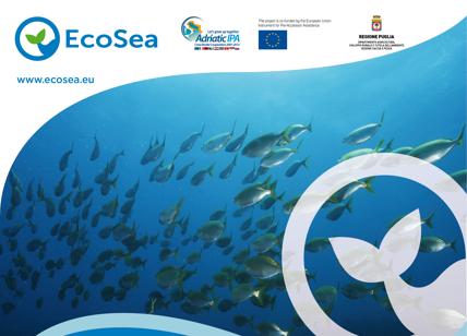 Gallipoli e Mola di Bari, le mete ECOSEA Gestione sostenibile ecosistema marino