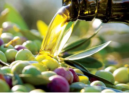 Olio di oliva ai minimi storici: crollo del 35% nel Lazio. Prezzo in aumento