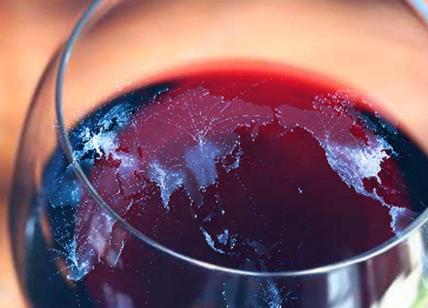 Vino rosso fa bene all'intestino. Le giuste dosi di vino rosso per l'intestino