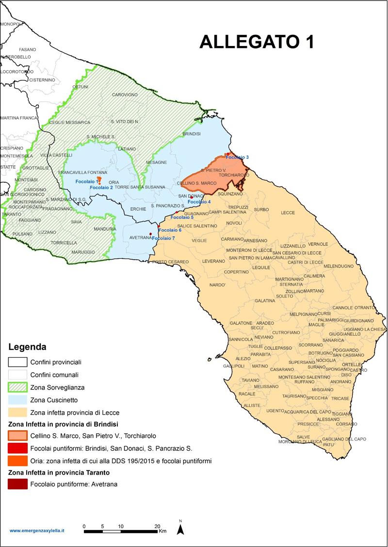 xylella nuova delimitazione xylella nuova delimitazione