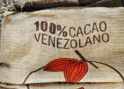 Criollo Domori apre un nuovo percorso degustativo del cioccolato