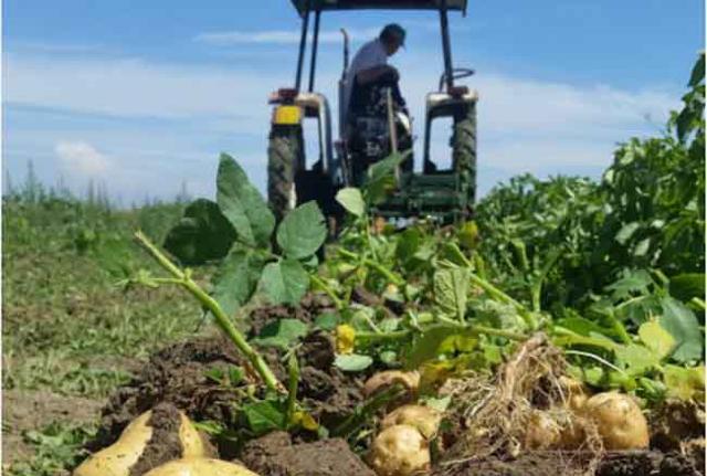 #Agricolturamodomio16 - Foto di cascinagandolfi #Agricolturamodomio16 - Foto di cascinagandolfi