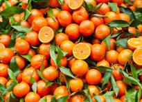 arance mandarini