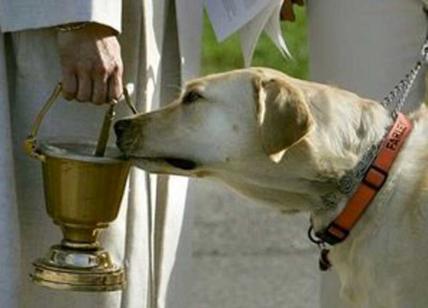 In rivolta contro il parroco “anti-cane”, manifestanti interrompono la messa