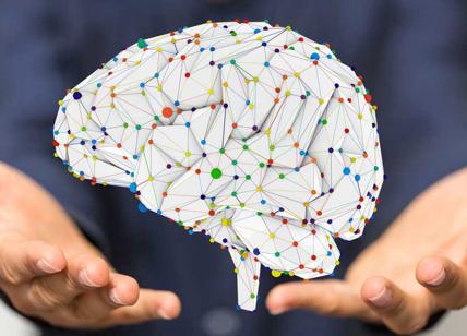 Ictus e Alzheimer e Parkinson: allo studio la Google Map del cervello