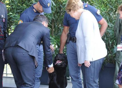 Terremoto Amatrice, Renzi e Merkel salutano il cane Leo: ha salvato una bimba