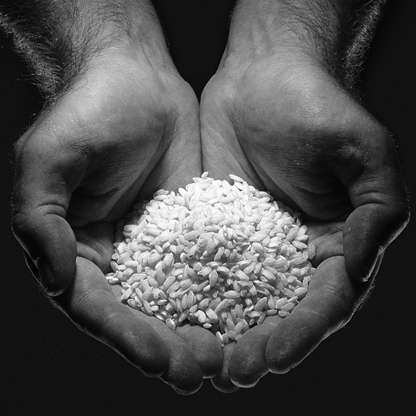 Euricom acquisisce il 100% da Marbour della divisione europea di riso secco