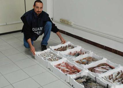 Ostia, un ristorante vende pesce scaduto: sequestri per commercio illegale