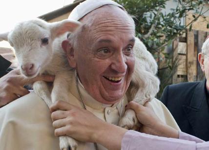 Fattoria Italia: mucche, capre, galline e asini dal Papa per S. Antonio Abate