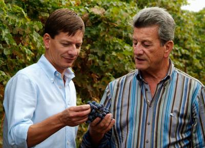 Azienda Santa Sofia Luciano e Giancarlo Begnoni in vigna