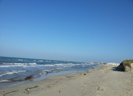 Trevisi (M5S): “Catrame sulle spiagge del Salento, ecosistema a rischio'