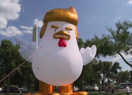 Un pollo gonfiabile con la faccia di Trump alla Casa Bianca. VIDEO