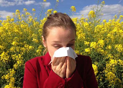Faber test unico per allergie: un solo test per 244 allergie. Faber funziona