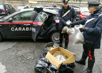 Sacchi pieni di marijuana: 14 chili di droga destinata al centro di Roma