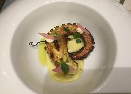 Olio cucina fresca ape