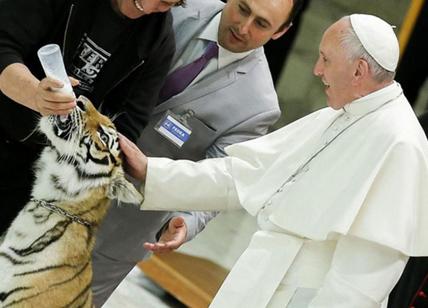 Papa Francesco invita i clochard al circo. Enpa: “Lì gli animali soffrono”