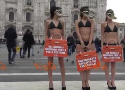 Modelle seminude in piazza Duomo: il flash-mob di Peta. VIDEO