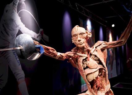 Atterra a Roma “Real Bodies”: la più grande mostra dedicata al corpo umano