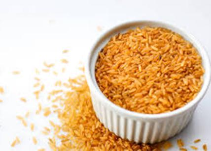 Dieta del riso integrale, perdere 4 kg in 9 giorni. DIETA DEL RISO BOOM!