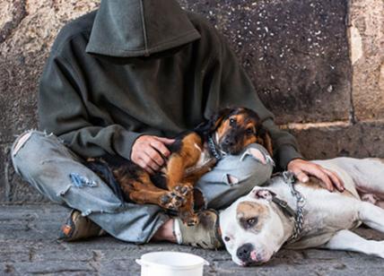 Ex night club confiscato alla mafia diventa struttura per senzatetto con cani