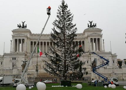 Spelacchio addio, rimosso l'abete di piazza Venezia dopo le feste natalizie