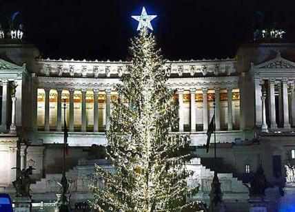 Spelacchio, l'albero di Natale di piazza Venezia, diventa star del web