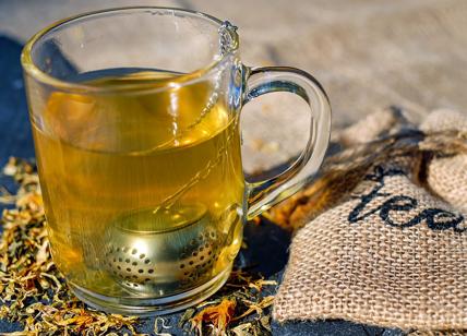 Quanto tè bere al giorno per prevenire le malattie-Tè VERDE PROPRIETA’