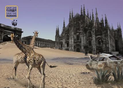 Il WWF e le politiche ambientali. 10 scelte strategiche per l'Italia