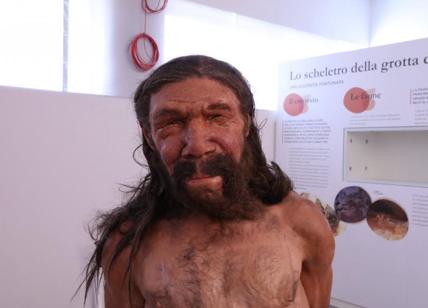 L'uomo di Altamura, dalle caverne al museo della città