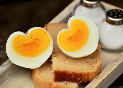 Food, arriva l'uovo sodo vegano: il brevetto è italiano