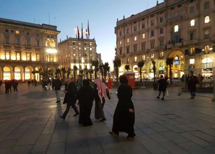 Le 7 ragioni (idiote) delle palme. Il dramma di una città venduta a pezzi