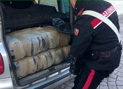 Vendevano droga ai pusher della Capitale: maxi sequestro da 366kg di marijuana