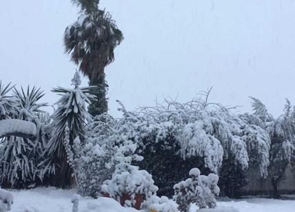 Gelo in Lombardia, ma neve in poche zone del Pavese