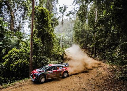 Rally Australia, Citroen Racing scalda i motori