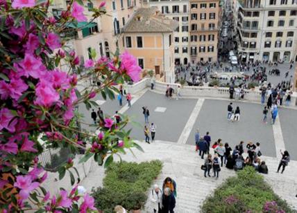 Roma, sboccia la Primavera: a piazza di Spagna torna lo show delle azalee