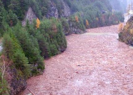 Maltempo, boschi scomparsi a Belluno. Caduti oltre 14 milioni di alberi