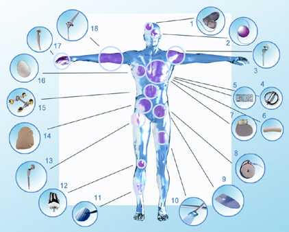 bioingegneria 2