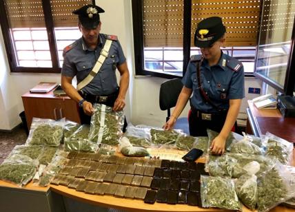 Pusher dal pollice verde: sequestrate 260 piante di marijuana e 10 kg di droga