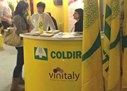 Vinitaly, Coldiretti Puglia: 'Record export vino +21,5% 15.990 ha. di uve Bio'