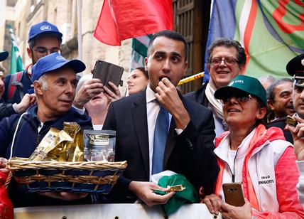 di maio ape