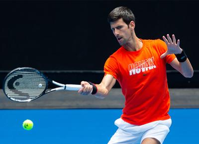 djokovic ape